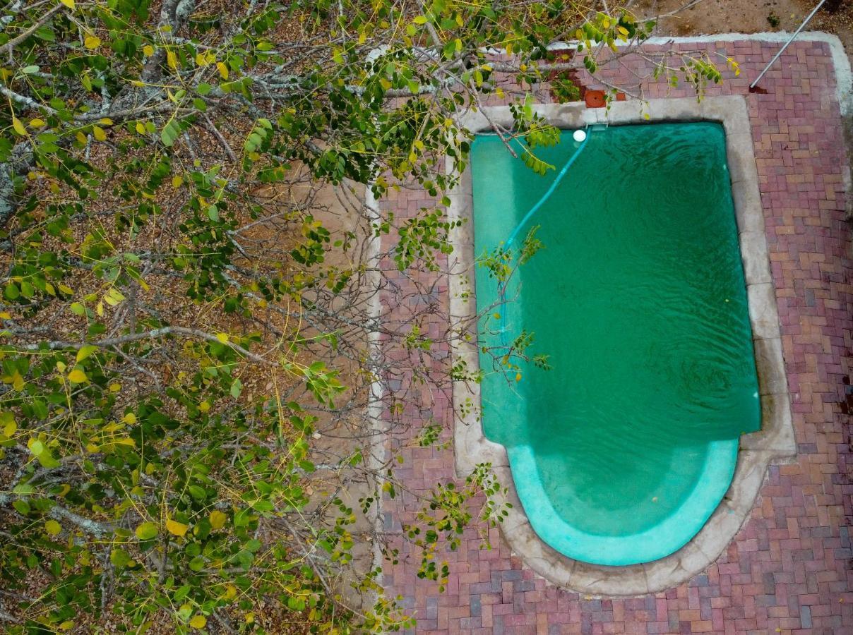 Nanisto Bush Lodge Marloth Park Extérieur photo
