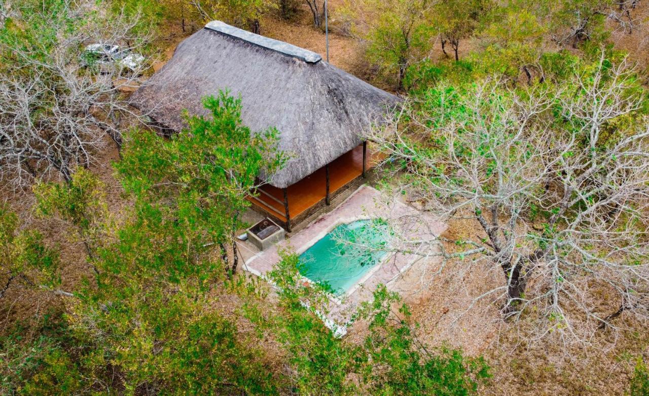 Nanisto Bush Lodge Marloth Park Extérieur photo