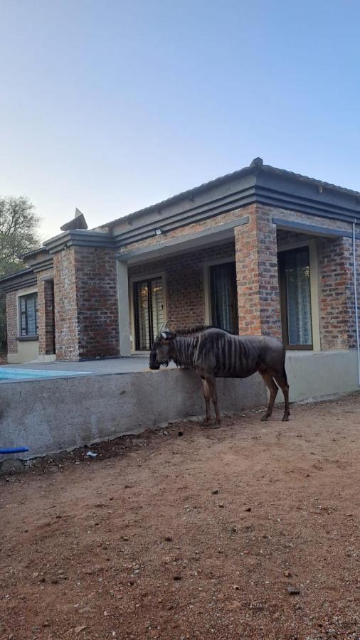 Nanisto Bush Lodge Marloth Park Extérieur photo